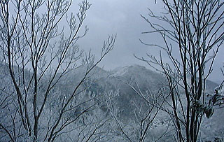 雪の多紀アルプス