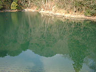 ��ɉf�邳�񂵂��R