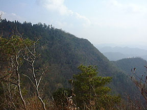 ���񂵂��R����]�މH���R