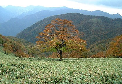 �O�˂̔�������