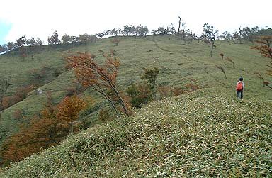 ��H��̏�ӂ�