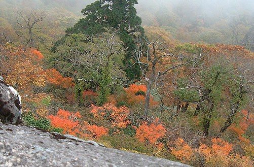 コシキ岩から西斜面