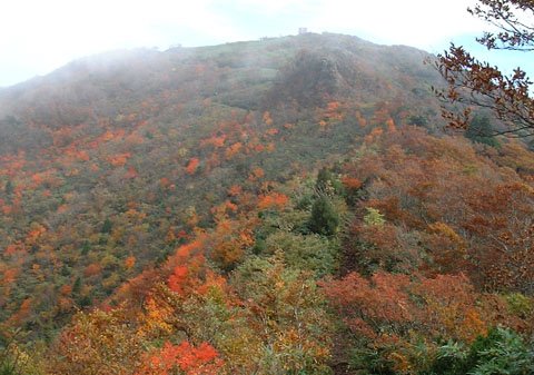 山頂を振り返る