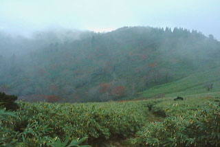 三ノ丸に続く稜線