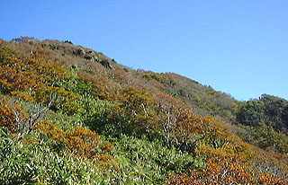 �R����]��