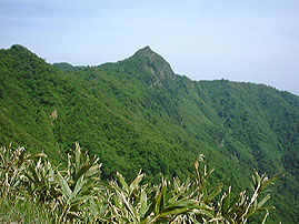 冠山