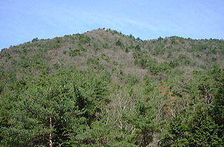 横尾山側の尾根