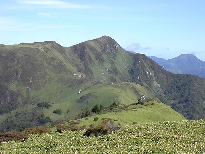 ���F�R����