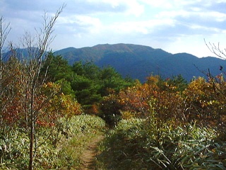 横尾山