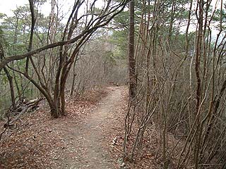 ���̉��̏�