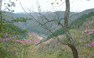武庫川渓谷