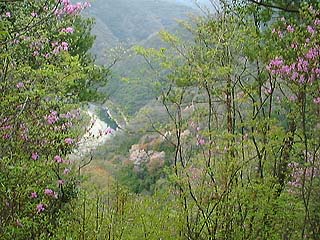 約280mコブから武庫川渓谷