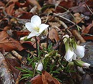 �q�S�X�~��