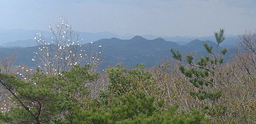 �R�u�V�Ƒ�⃖�x