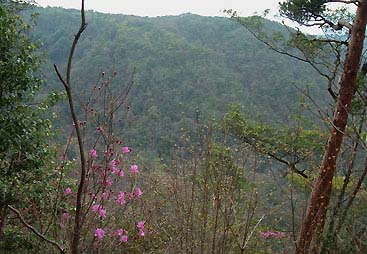 ���̉���_����