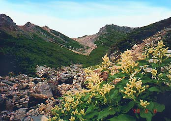 �O�m�r�����̑�