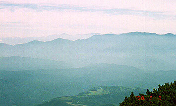 �����E��A���v�X