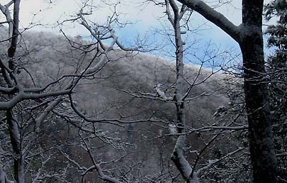 �����̔�����