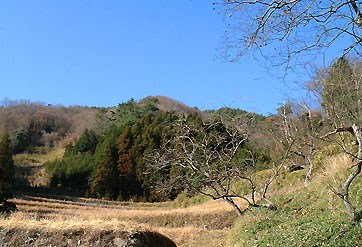 下田尻からの竜王山