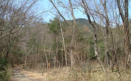 西光寺山