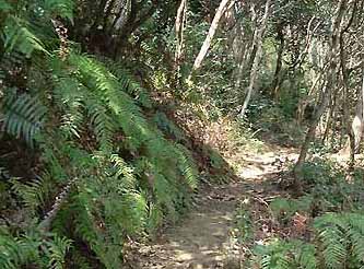 山道