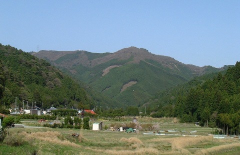 さくらの道から