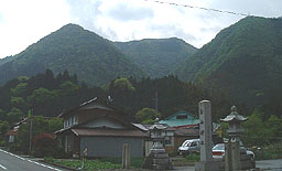 茶野