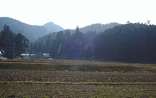 胎金寺山