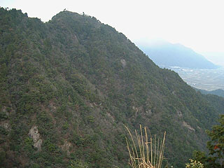 高見城山の東面