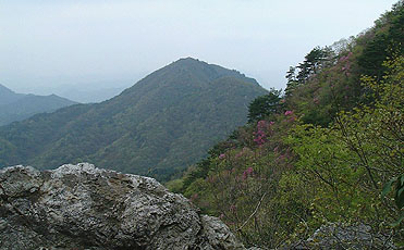 �W�]�₩��