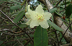 ���̔`�ւ̓��̓r����