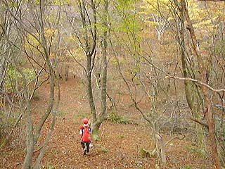 天国のような歩き