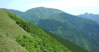 鎌ヶ岳と雨乞岳を望む