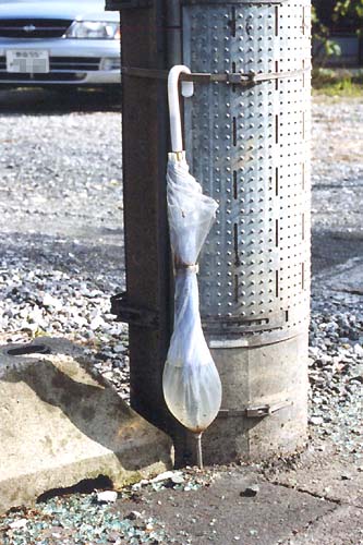 置き忘れられたビニール傘に水