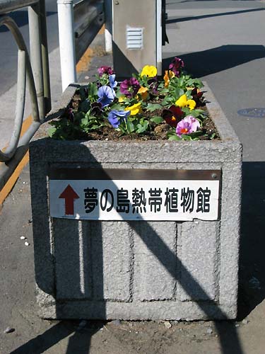 こんなに小さな植物園