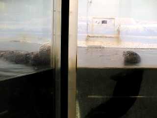 �P���J��