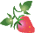 C`S̃ACR