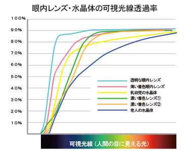 眼内レンズ・水晶体の可視光線透過率