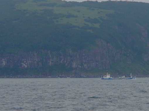 hkodate.jpg (12870)