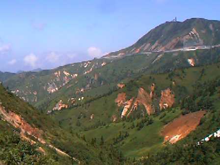 shibupass.jpg (15959)