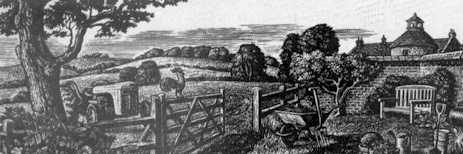country.jpg (15128)