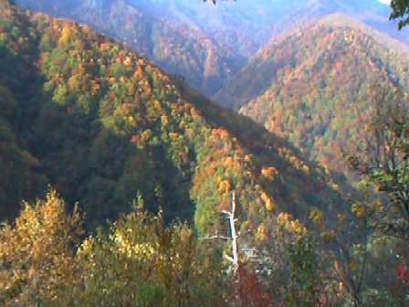 view.jpg (22182)