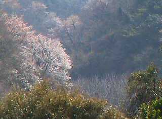 hiromati.jpg (10991)