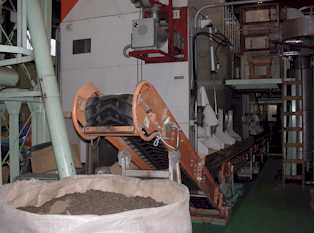 compost.jpg (10784)