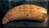 scrimshaw.jpg (35392)