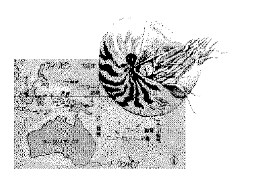 serial3.gif (24606)