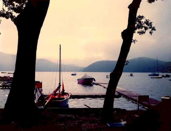 morning.jpg (21405)
