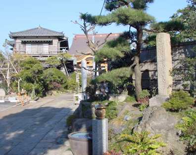 hontyuji.jpg (21907)