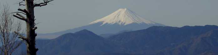 fuji.jpg (8207)