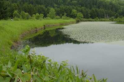 otadomari.jpg (13054)